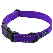 LARGE - Reflective Locking Dog Collar - PURPLE